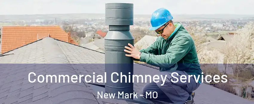 Commercial Chimney Services New Mark - MO