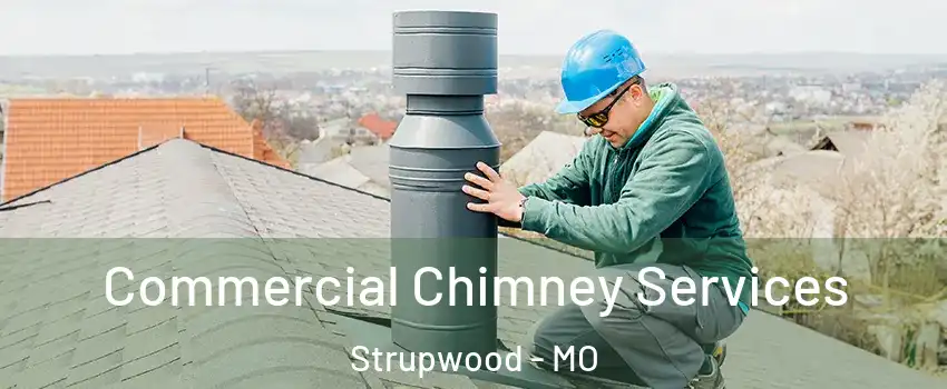 Commercial Chimney Services Strupwood - MO