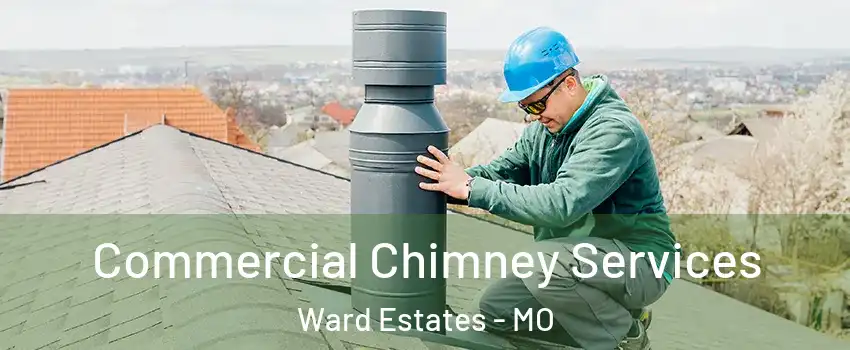 Commercial Chimney Services Ward Estates - MO