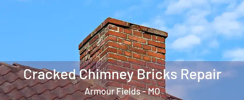 Cracked Chimney Bricks Repair Armour Fields - MO