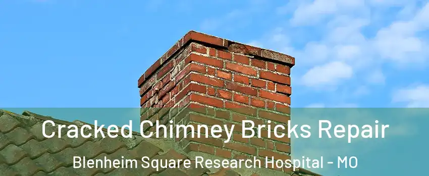 Cracked Chimney Bricks Repair Blenheim Square Research Hospital - MO