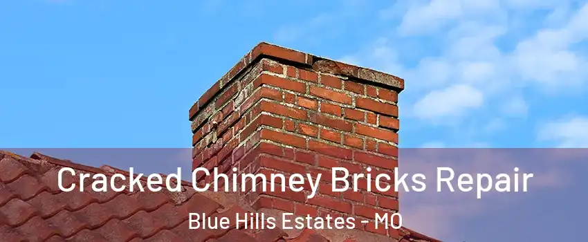 Cracked Chimney Bricks Repair Blue Hills Estates - MO