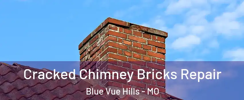 Cracked Chimney Bricks Repair Blue Vue Hills - MO