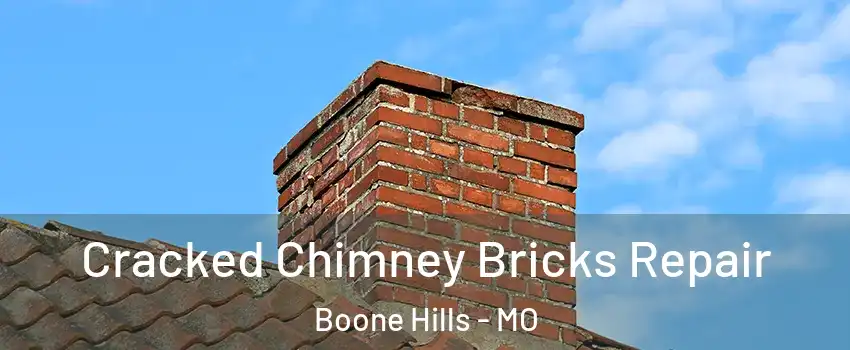 Cracked Chimney Bricks Repair Boone Hills - MO