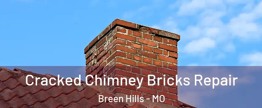 Cracked Chimney Bricks Repair Breen Hills - MO