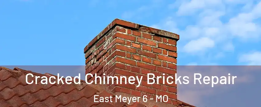 Cracked Chimney Bricks Repair East Meyer 6 - MO