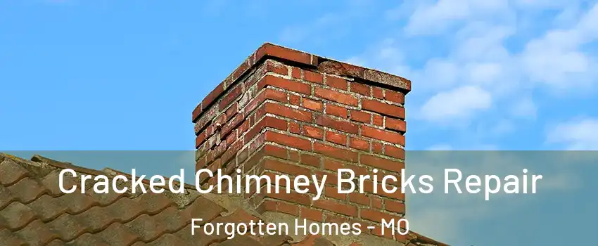 Cracked Chimney Bricks Repair Forgotten Homes - MO