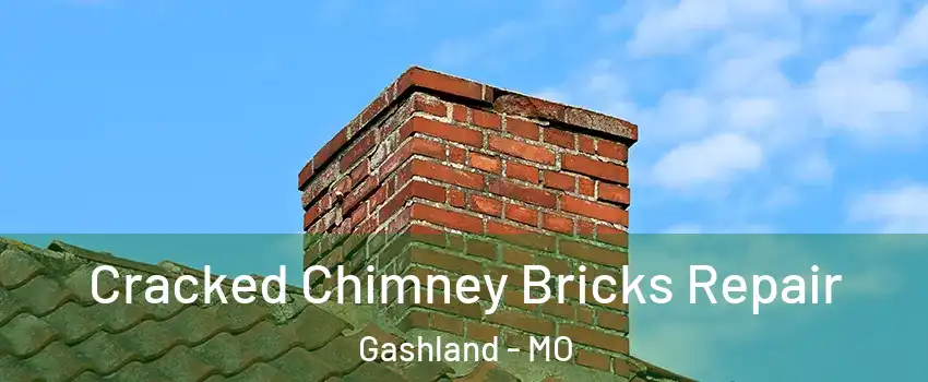 Cracked Chimney Bricks Repair Gashland - MO