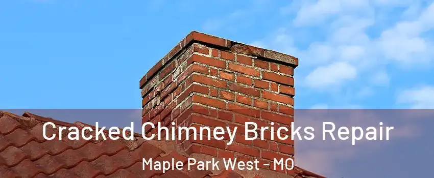 Cracked Chimney Bricks Repair Maple Park West - MO