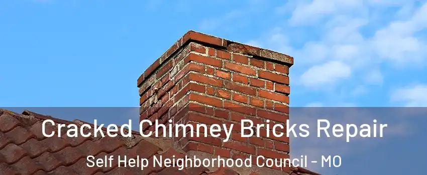 Cracked Chimney Bricks Repair Self Help Neighborhood Council - MO