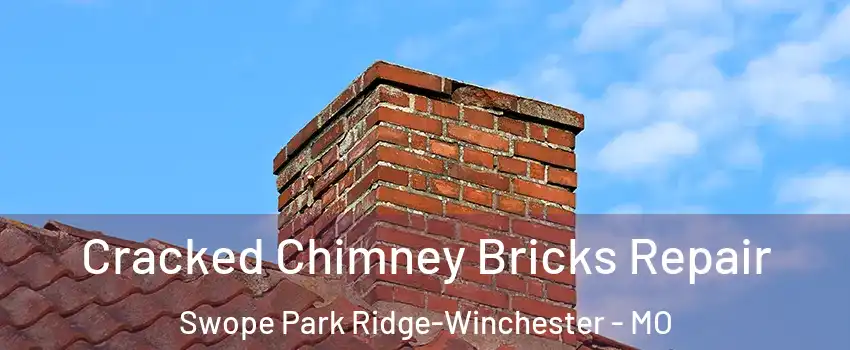 Cracked Chimney Bricks Repair Swope Park Ridge-Winchester - MO