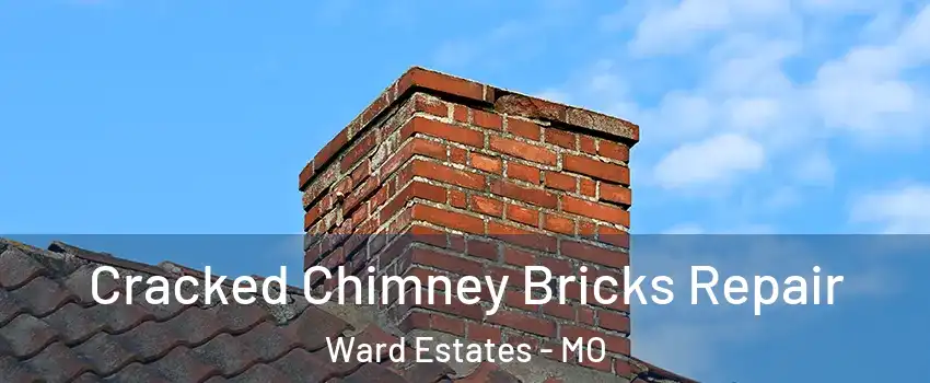 Cracked Chimney Bricks Repair Ward Estates - MO