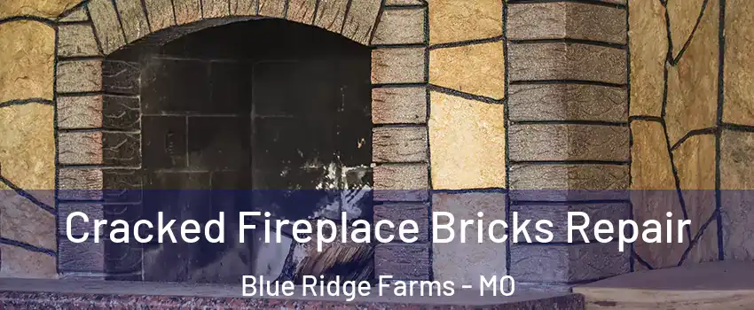 Cracked Fireplace Bricks Repair Blue Ridge Farms - MO