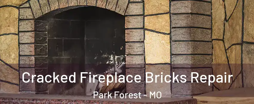 Cracked Fireplace Bricks Repair Park Forest - MO