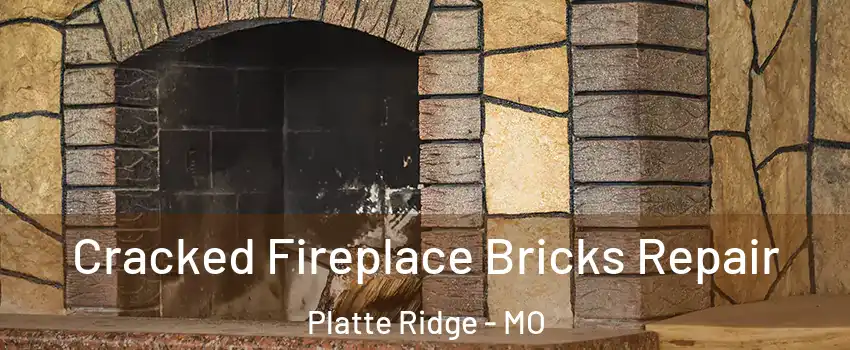 Cracked Fireplace Bricks Repair Platte Ridge - MO