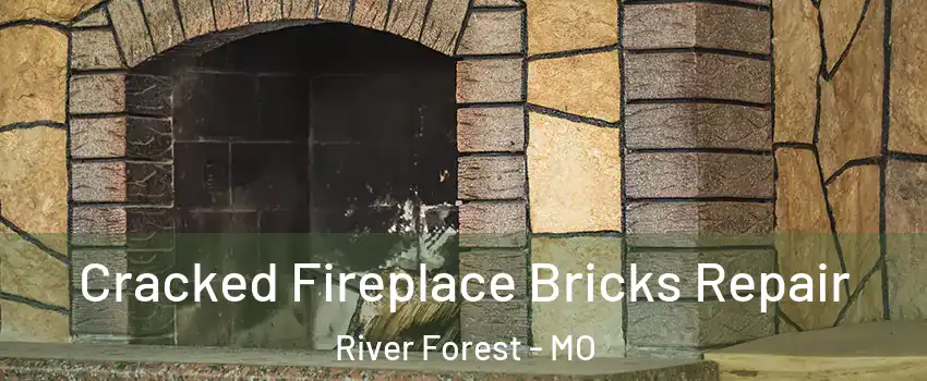 Cracked Fireplace Bricks Repair River Forest - MO