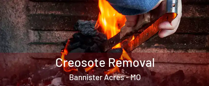 Creosote Removal Bannister Acres - MO