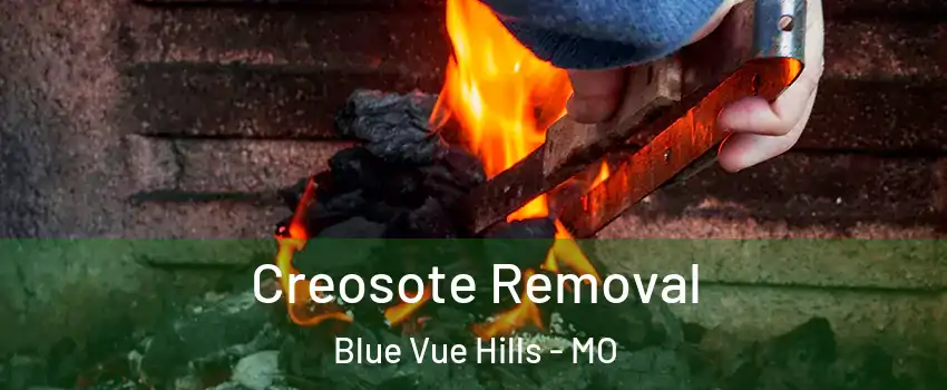 Creosote Removal Blue Vue Hills - MO