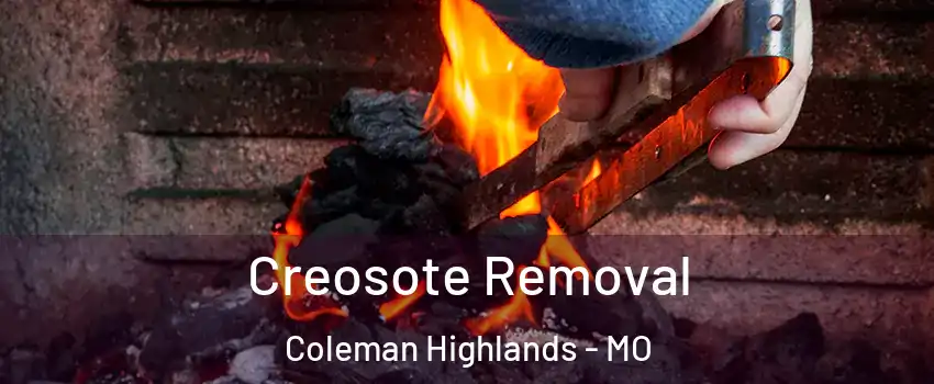 Creosote Removal Coleman Highlands - MO