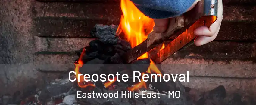 Creosote Removal Eastwood Hills East - MO