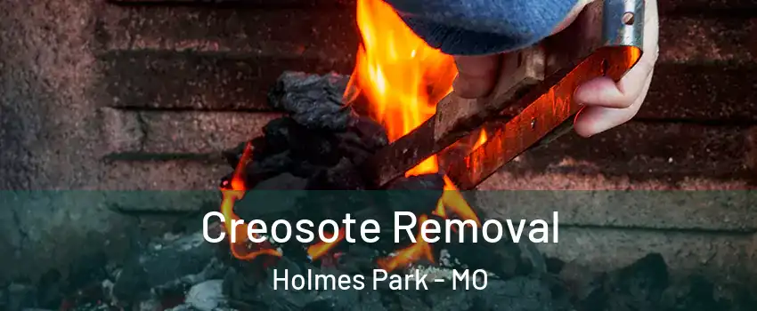 Creosote Removal Holmes Park - MO