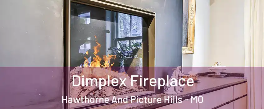 Dimplex Fireplace Hawthorne And Picture Hills - MO