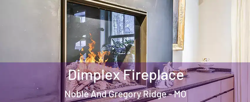 Dimplex Fireplace Noble And Gregory Ridge - MO