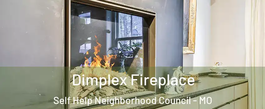 Dimplex Fireplace Self Help Neighborhood Council - MO