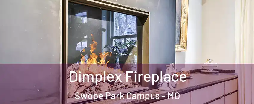 Dimplex Fireplace Swope Park Campus - MO