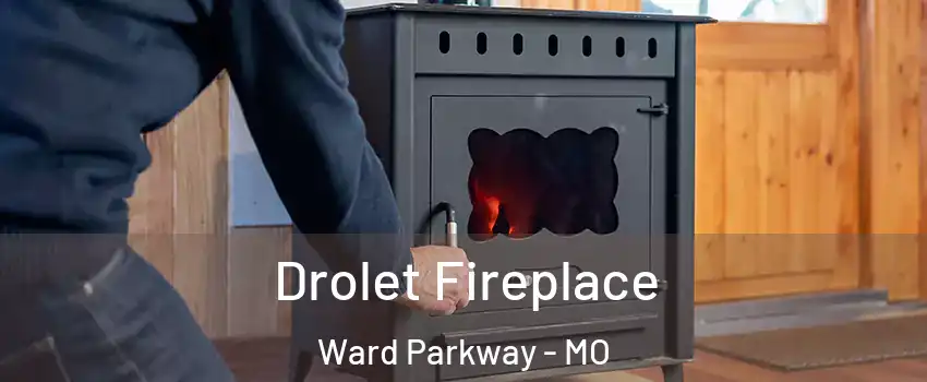 Drolet Fireplace Ward Parkway - MO