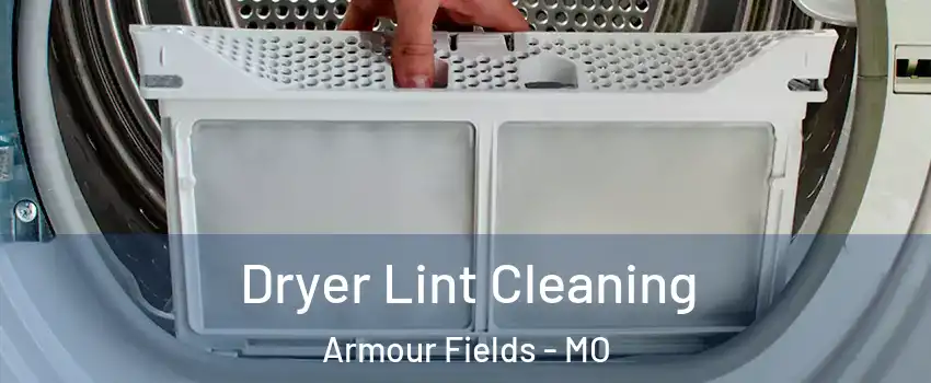 Dryer Lint Cleaning Armour Fields - MO