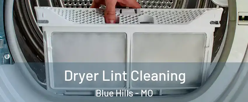 Dryer Lint Cleaning Blue Hills - MO