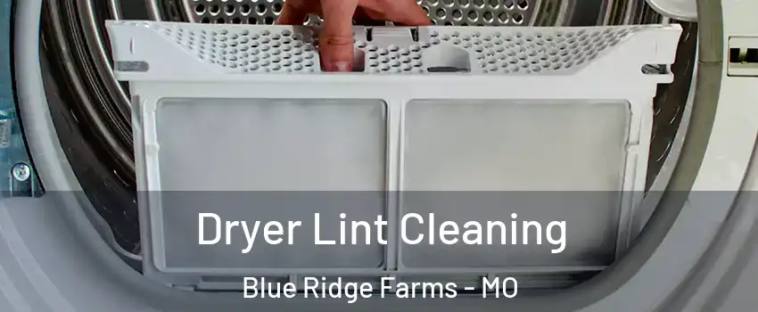 Dryer Lint Cleaning Blue Ridge Farms - MO