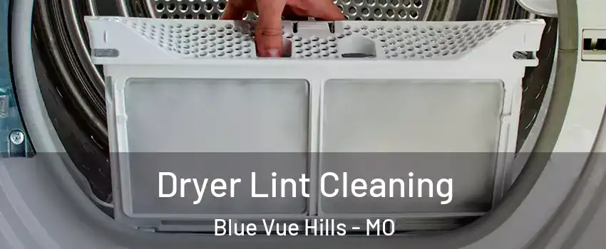 Dryer Lint Cleaning Blue Vue Hills - MO