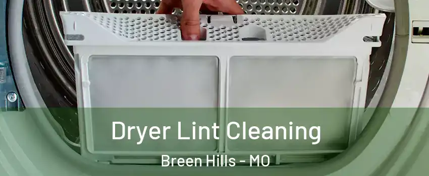 Dryer Lint Cleaning Breen Hills - MO