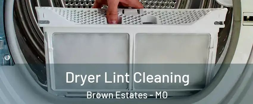 Dryer Lint Cleaning Brown Estates - MO