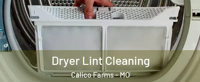 Dryer Lint Cleaning Calico Farms - MO