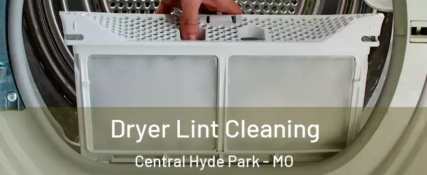 Dryer Lint Cleaning Central Hyde Park - MO