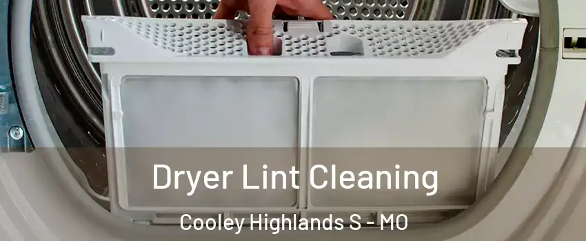 Dryer Lint Cleaning Cooley Highlands S - MO