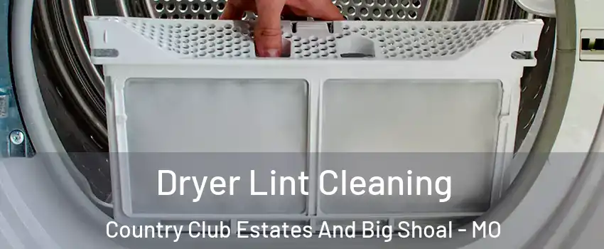 Dryer Lint Cleaning Country Club Estates And Big Shoal - MO