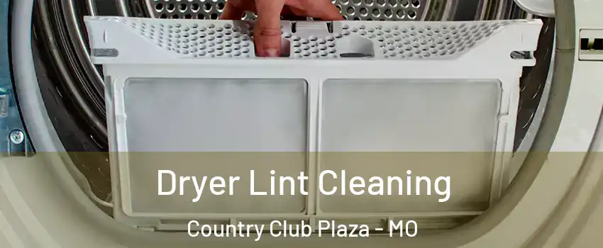 Dryer Lint Cleaning Country Club Plaza - MO