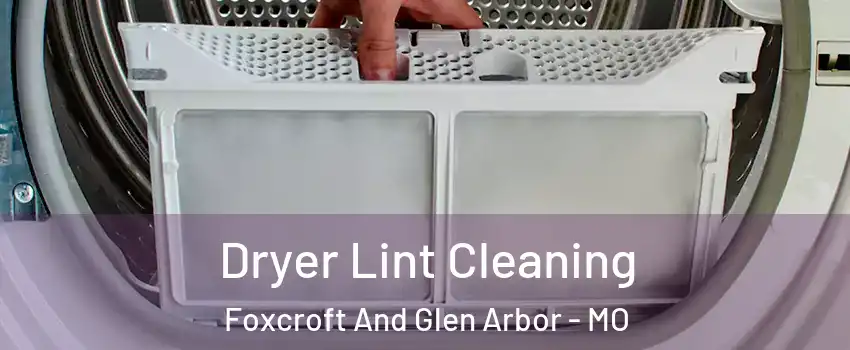 Dryer Lint Cleaning Foxcroft And Glen Arbor - MO