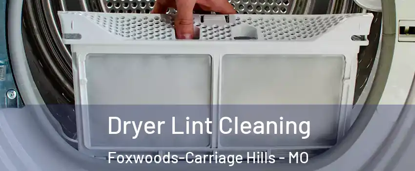 Dryer Lint Cleaning Foxwoods-Carriage Hills - MO