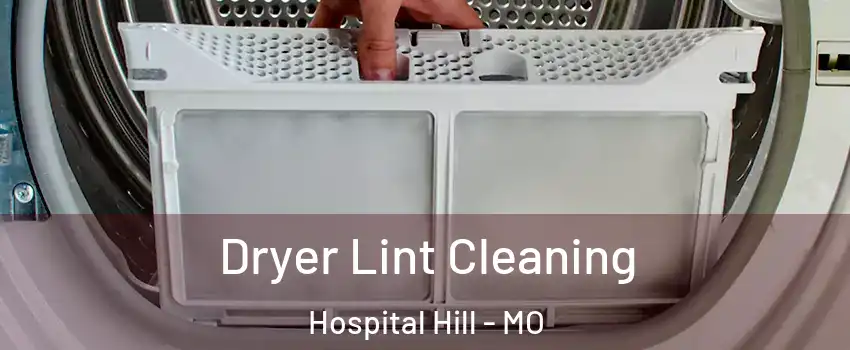 Dryer Lint Cleaning Hospital Hill - MO