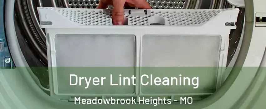 Dryer Lint Cleaning Meadowbrook Heights - MO