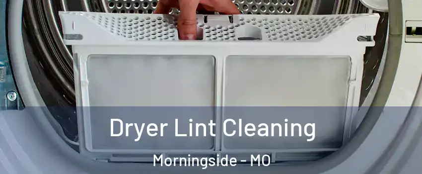 Dryer Lint Cleaning Morningside - MO