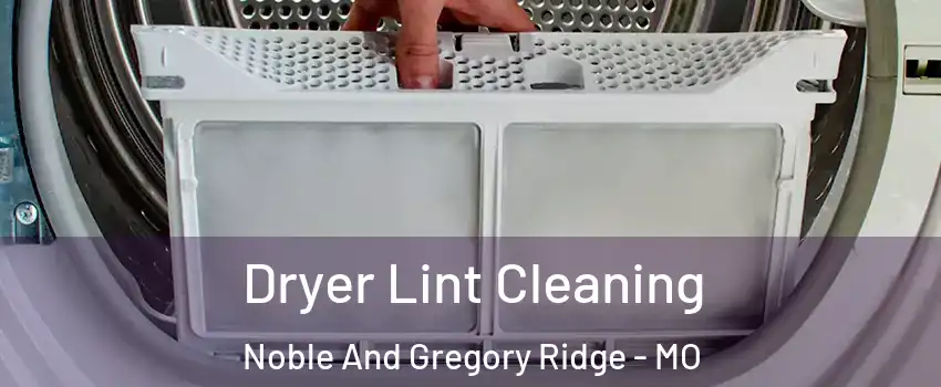 Dryer Lint Cleaning Noble And Gregory Ridge - MO