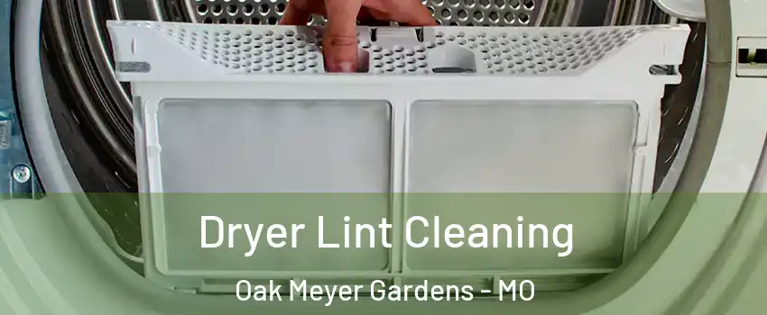 Dryer Lint Cleaning Oak Meyer Gardens - MO