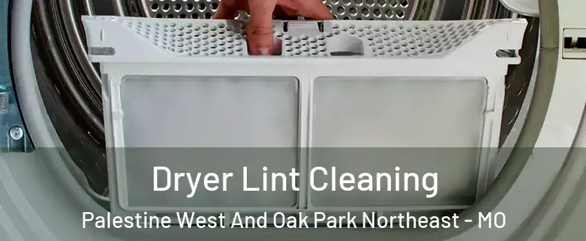 Dryer Lint Cleaning Palestine West And Oak Park Northeast - MO