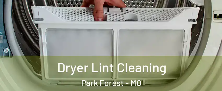 Dryer Lint Cleaning Park Forest - MO